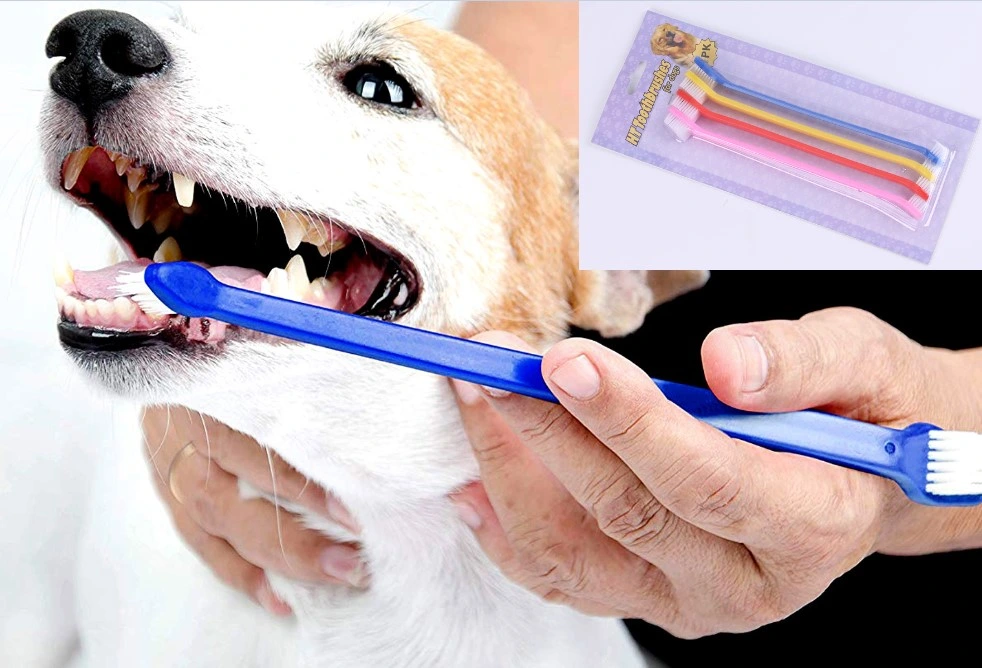 ÇIFT TARAFLI HAYVAN DIŞ FİRÇASI 4 LÜ SET