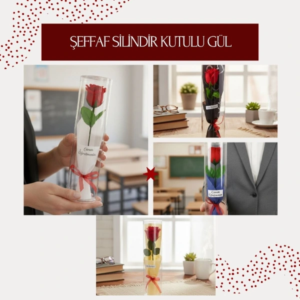 Şeffaf Silindir Kutulu Gül - Öğretmenler Günü Hediyesi
