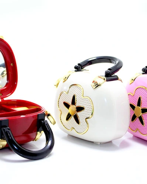 Çanta Tasarımlı Müzik Kutusu