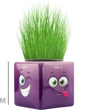 Çim Adam Mini Küp Emoji Figürlü 1 Adet