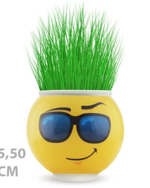 Çim Adam Saksı Emoji Figürlü 1 Adet