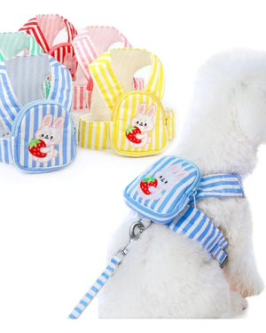 Evcil Hayvan Çantalı Göğüs Gezdirme Tasması Seti