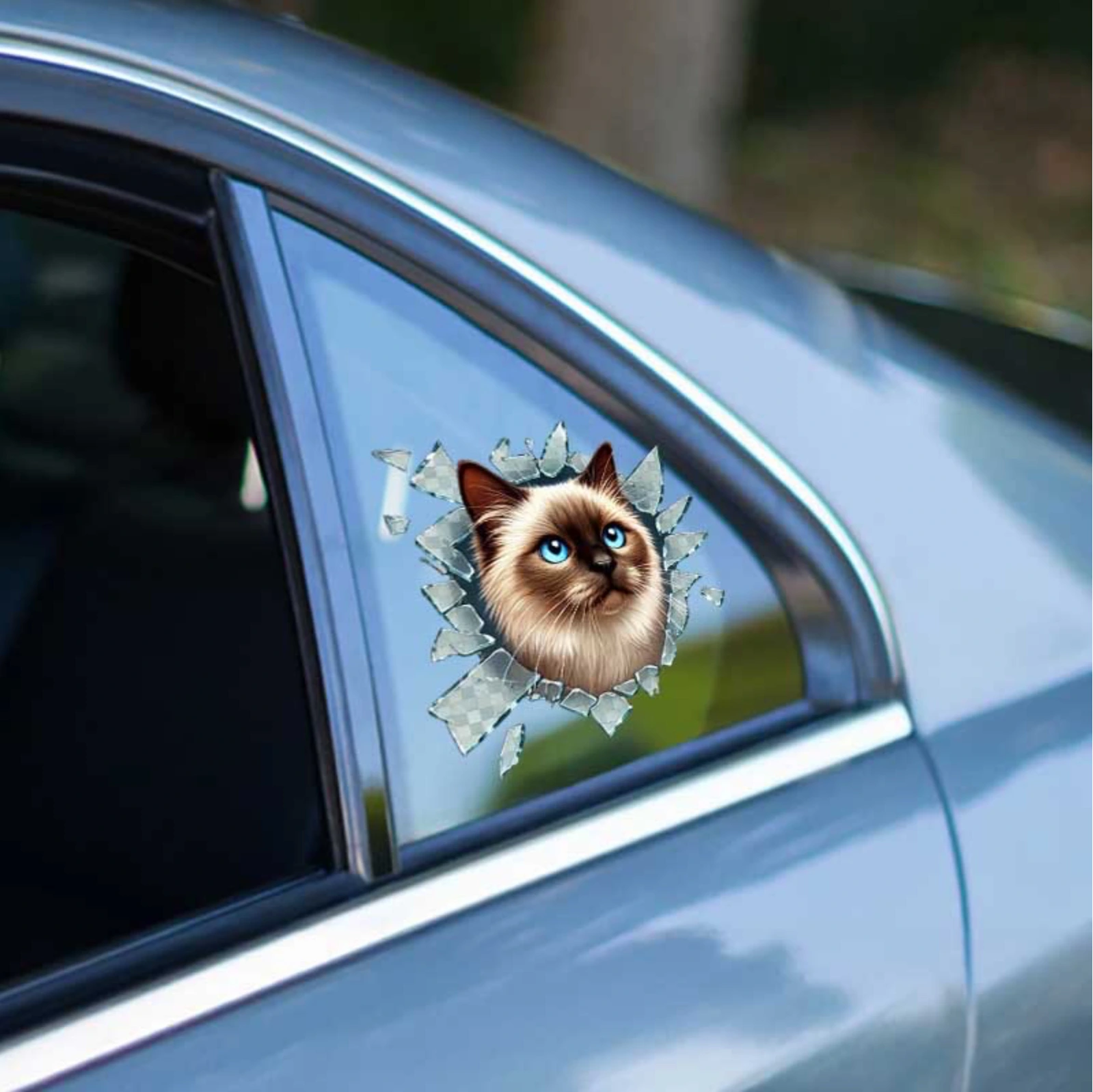 Fulcar Siamesse Araç Stickerı