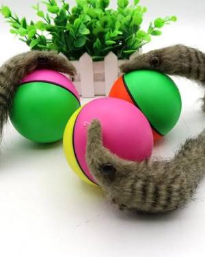 Hareketli Rakun Kedi Köpek Oyuncak