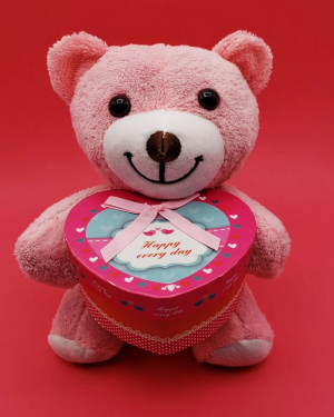 Hediyelik Pembe Kutulu Ayıcık