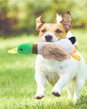 Sesli Ördek Şekilli Peluş Köpek Oyuncağı