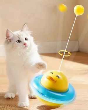 UFO Şekilli Ördek Kedi Oyuncağı