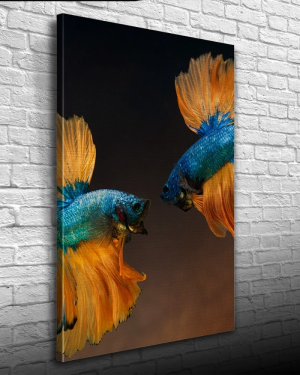 İki Mavi Balık Kanvas Tablo 50 x 70