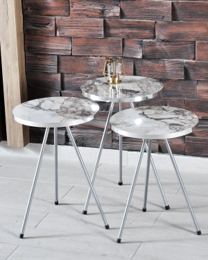 Orta Sehpa Gümüş  Elips Siyah Metal Ayak